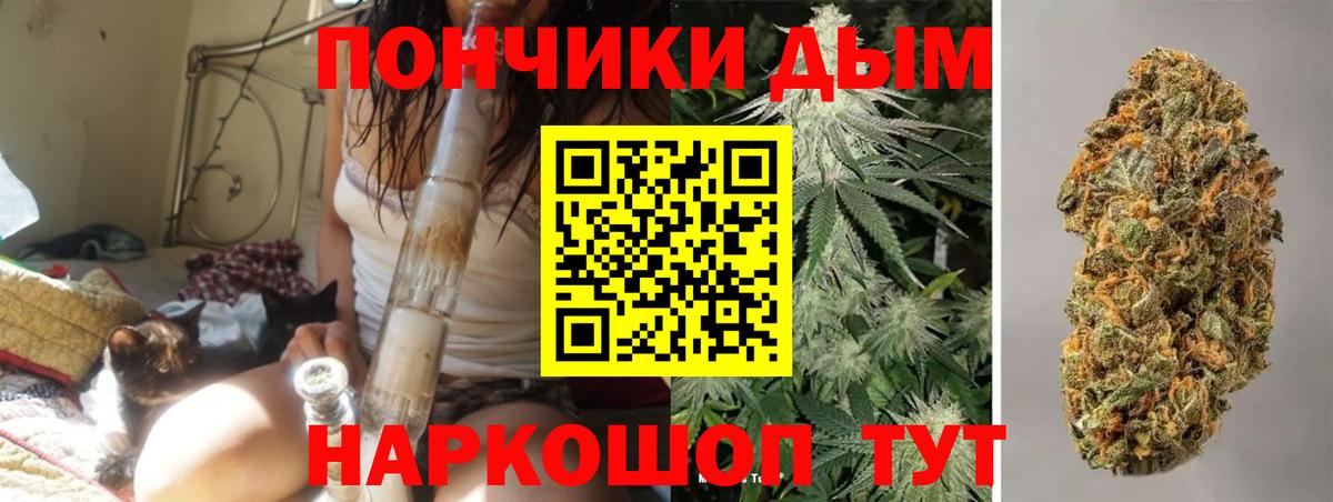 Каннабис сатива  Вход с VPN  Шелехов  Канабис сатива 